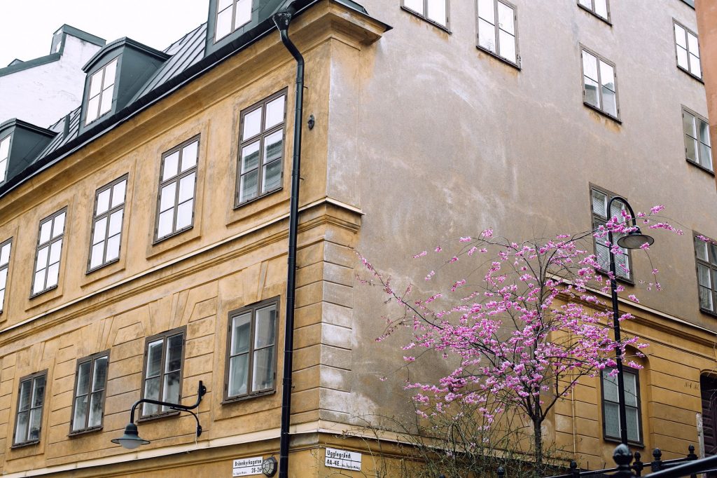 Fönsterputsning i Stockholm under pollensäsongen: när bör du boka?